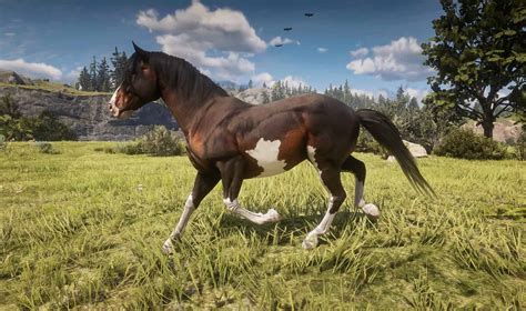 rdr2 horse guide|rdr2 horse stats explained.
